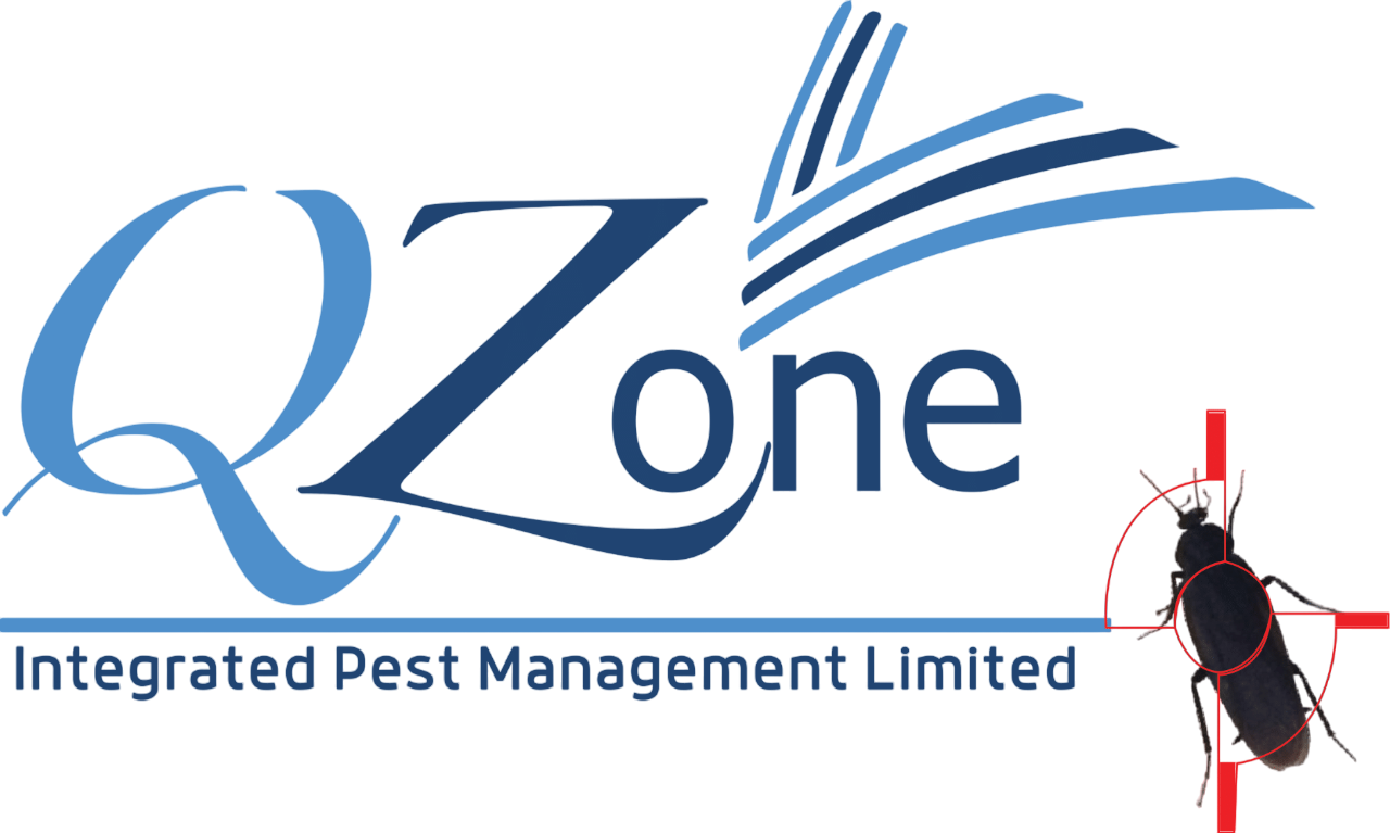 Q-ZONE Logo
